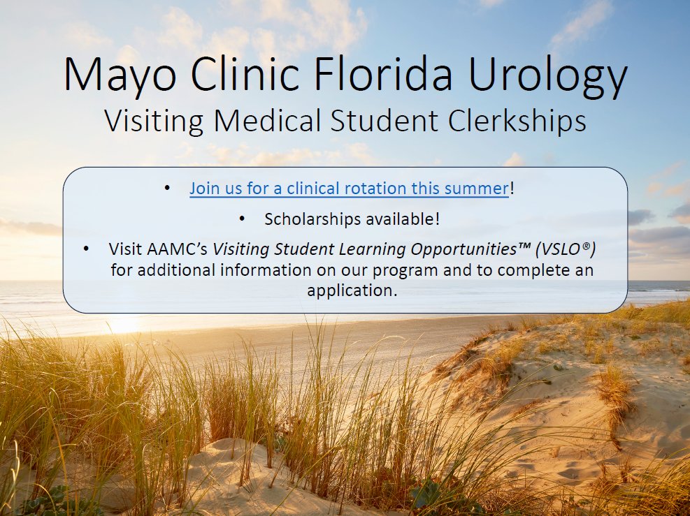 Are you a medical student interested in learning more about Urology at Mayo Clinic Florida? Apply for a summer clerkship using the link below: college.mayo.edu/academics/visi… @TimLyonMD @ajzganjar @MayoUrology
