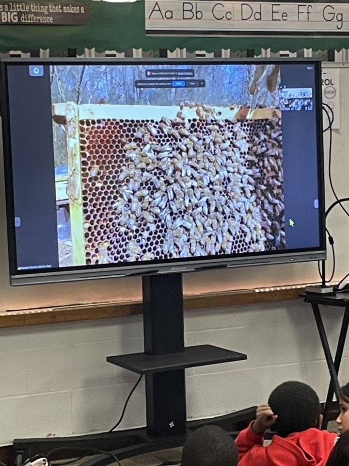 tracymobsmith's tweet photo. I want to thank Farmer D for helping our second grade students make a real world connection to their EL module 4 lessons.  She was able to introduce them to one of her beehives and expand their knowledge of pollinators.  @ZacharyTaylorEl  @AnaleseCravens  @JCPSLeads @JCPSDEP1 https://t.co/GqK8aTRh0u