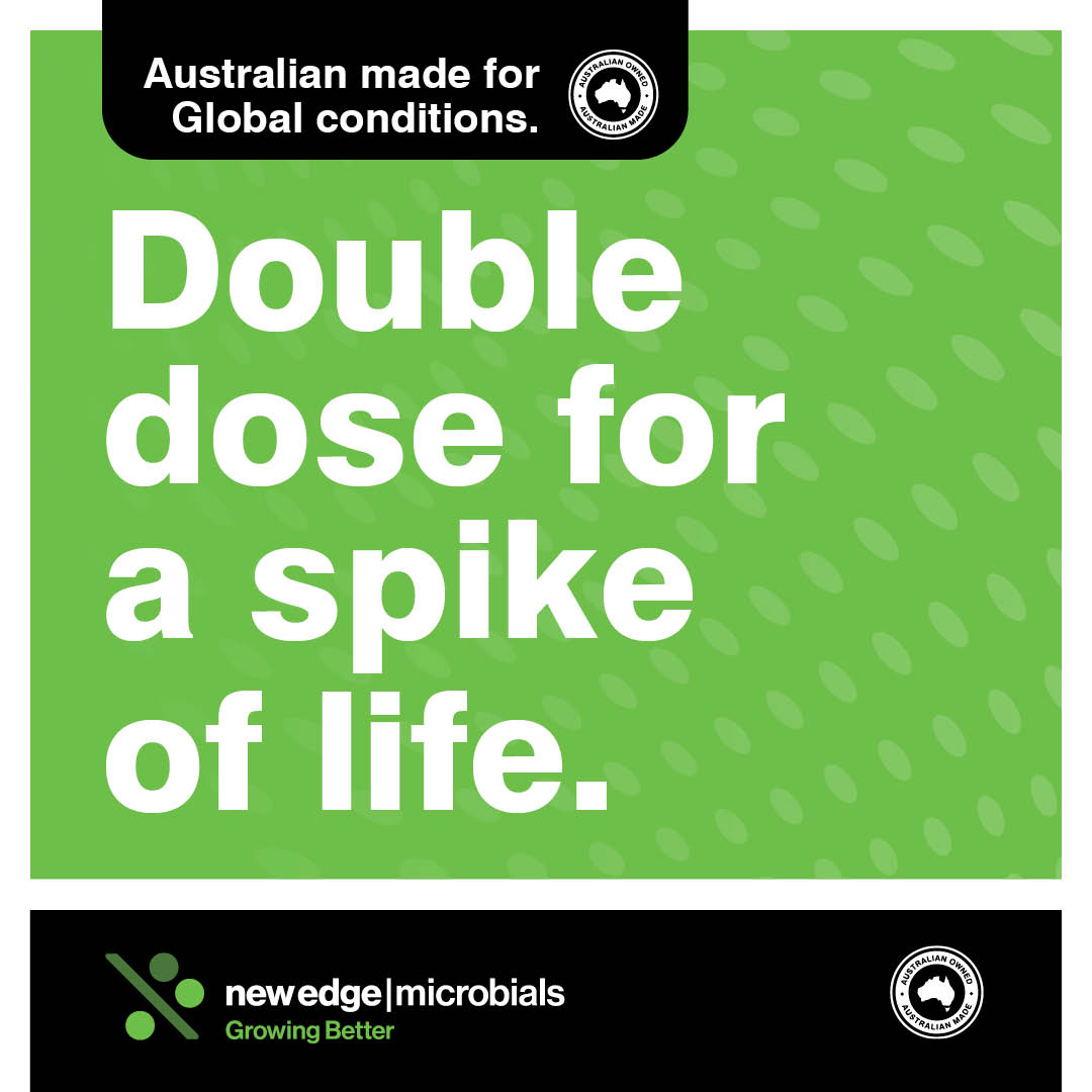 newedgemicrobes's tweet photo. Did you know?
Double Inoculation via the mixing of NEM's NoduleN™ and EasyRhiz™can lead to increased grain yield and improved post-crop soil nitrate levels. Harness the power the right power.
Find out more: https://t.co/Mpvq7kC27g
#NEM #DoubleInoculation #NitrogenFixation https://t.co/ckCByrNJzZ