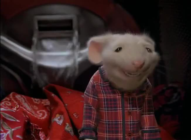 _brissaro's tweet photo. no puedo parar de reírme con bautista es realmente este jajajajajajaj #GranHermano https://t.co/sdb0m2zAeh