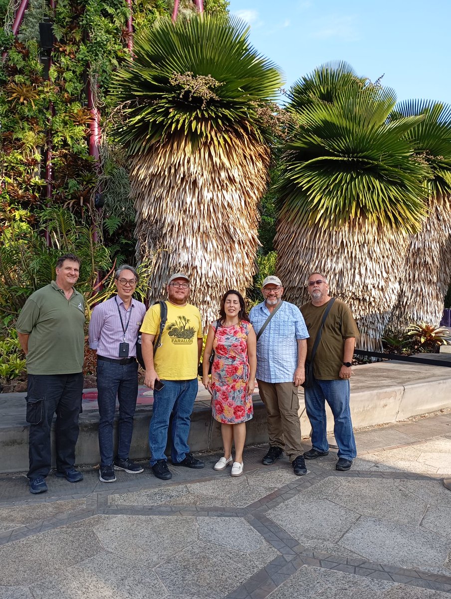 JBNUnivHabana's tweet photo. 🇸🇬 Presidente del Consejo Científico y Arquitecto Paisajista del Jardín Botánico Nacional visitan el Jardín Botánico de Singapur, invitados y acompañados por nuestra embajadora en el país asiático, y el Director Botánico del Jardín Noong Noch de Tailandia. https://t.co/7Q5kPTaDNq