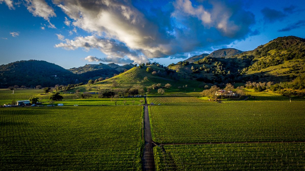 Visit Napa Valley (@visitnapavalley) on Twitter photo Happy #CaliforniaDay from the heart of wine country!
Napa Valley is home to five distinct towns and four unique regions, each offering their own opportunities to dine, shop, sip, and stay. Find out more at VisitNapaValley.com!
<a href="/VisitCA/">Visit California</a> <a href="/VisitNapaValley/">Visit Napa Valley</a> Happy #CaliforniaDay from the heart of wine country!
Napa Valley is home to five distinct towns and four unique regions, each offering their own opportunities to dine, shop, sip, and stay. Find out more at VisitNapaValley.com!
<a href="/VisitCA/">Visit California</a> <a href="/VisitNapaValley/">Visit Napa Valley</a>
