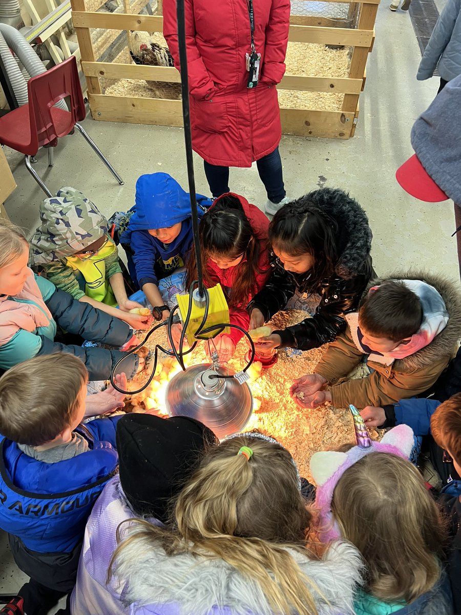 Thank you to the Brookings High School FFA for putting on yet another AMAZING  petting zoo for the kids!!! 🚜🐣🐮🐷 They absolutely LOVE going every single year!! 🥹💙🫶🏻