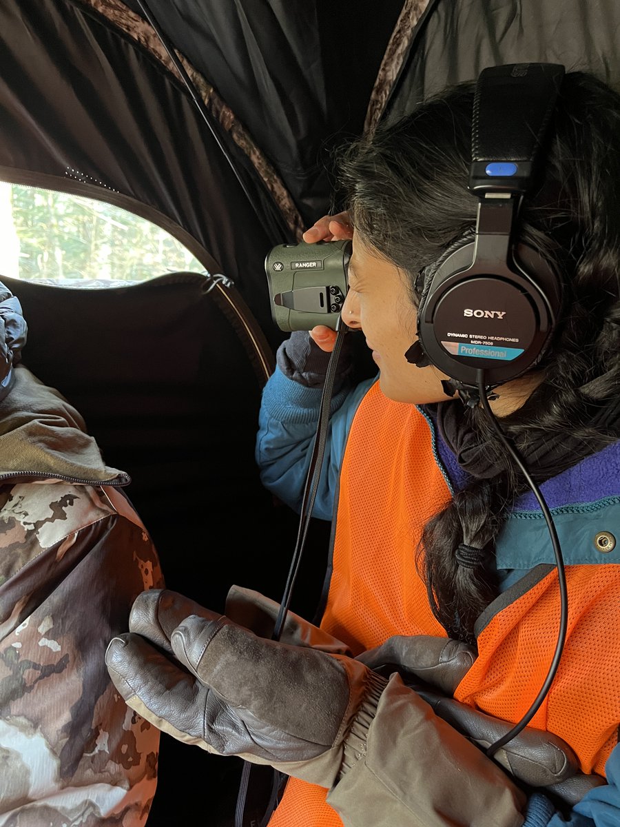 Felix Poon tweet media