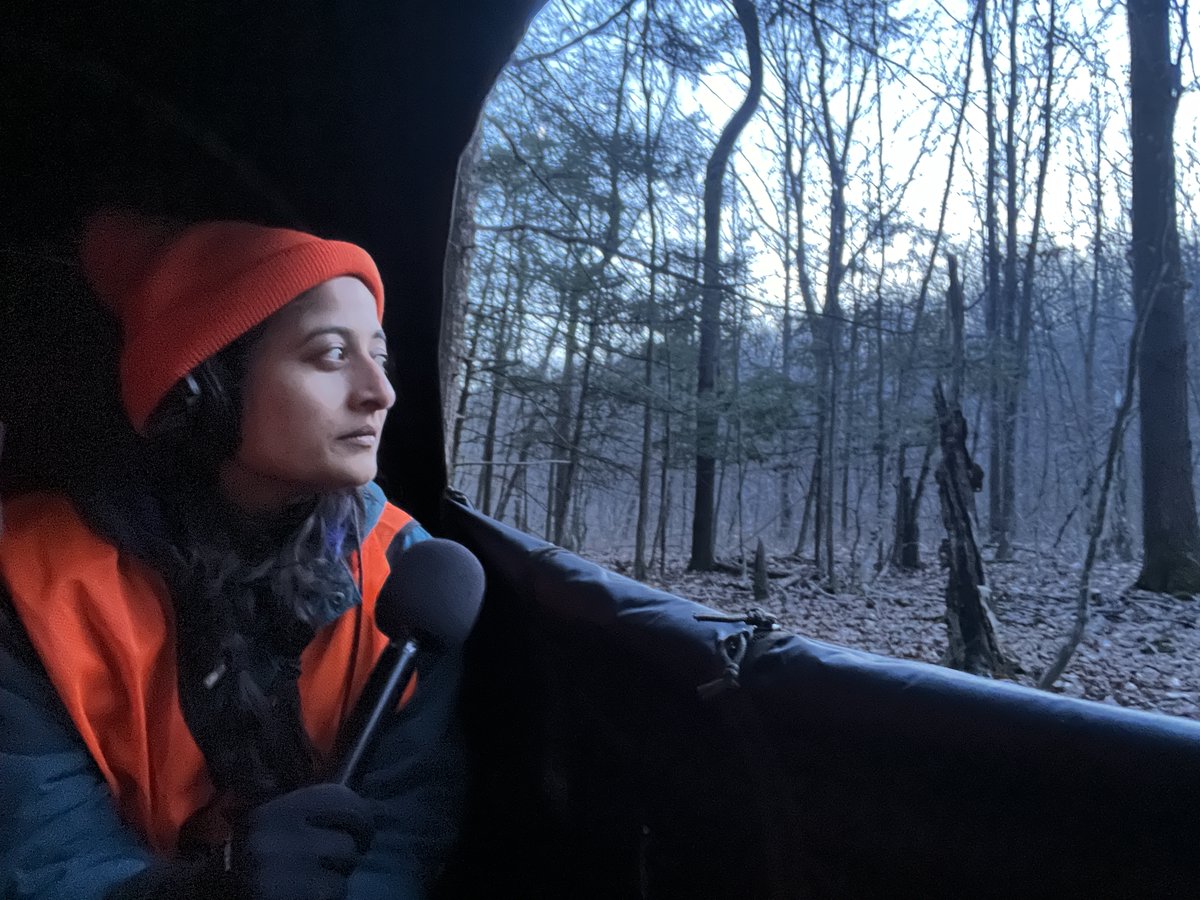 Felix Poon tweet media