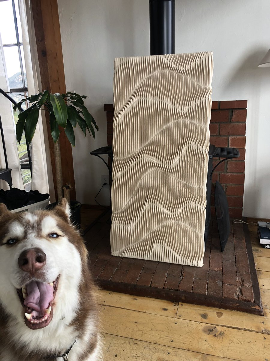 morgan young tweet media