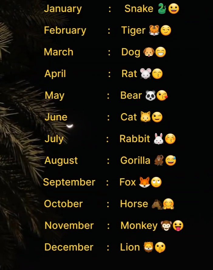 According to your birthday month
Your animal name....? 

Me cat 🐈😂