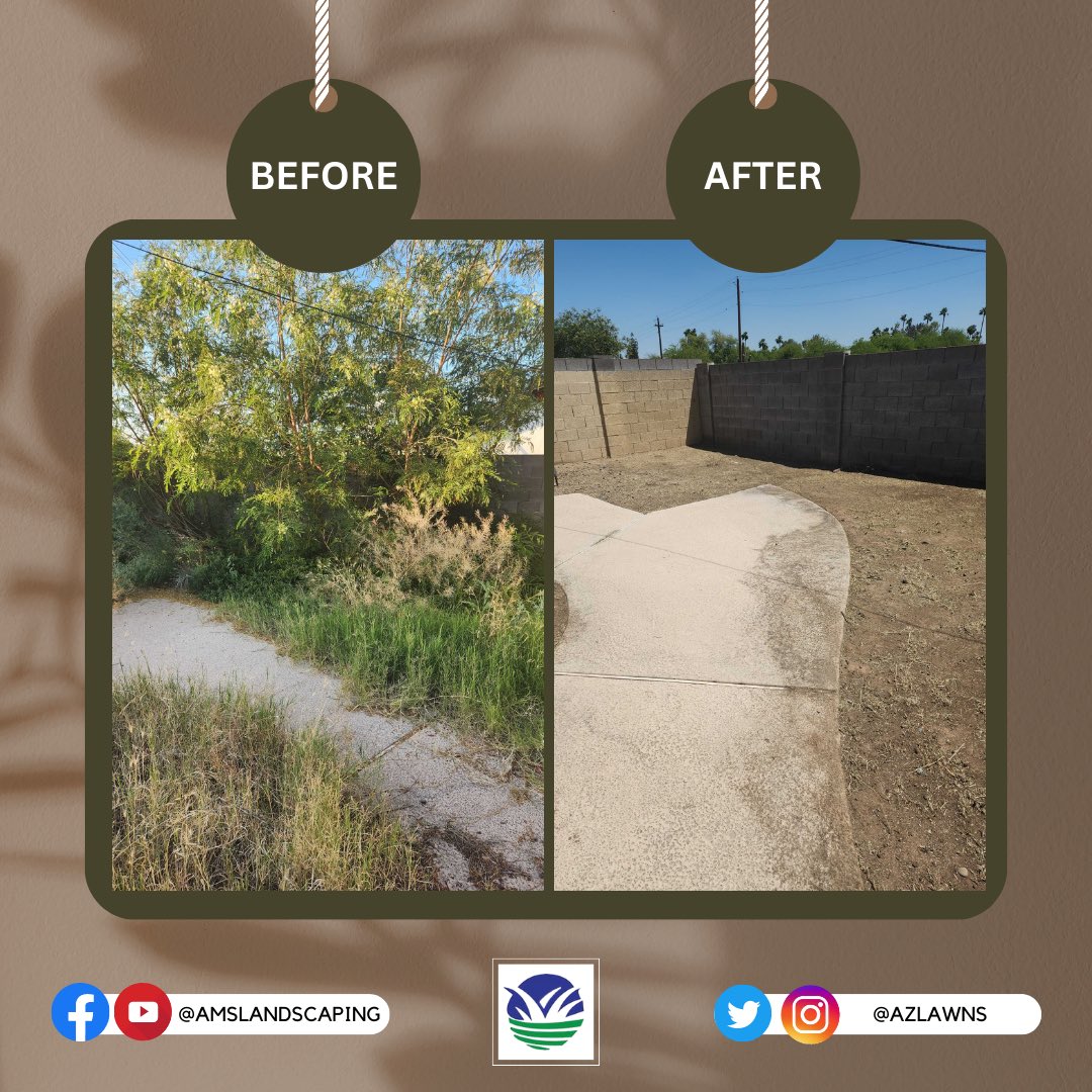 Before and after pictures from some of our current work this past month!  #beforeandafter #cleanups #azlawns #amslandscaping #lawncare #landscaping #phoenixarizona #myyard #desertplant #phoenixaz #phoenixhomes #landscaper  #azfamily #azcentral #abc15 #fox10phoenix #12newsaz