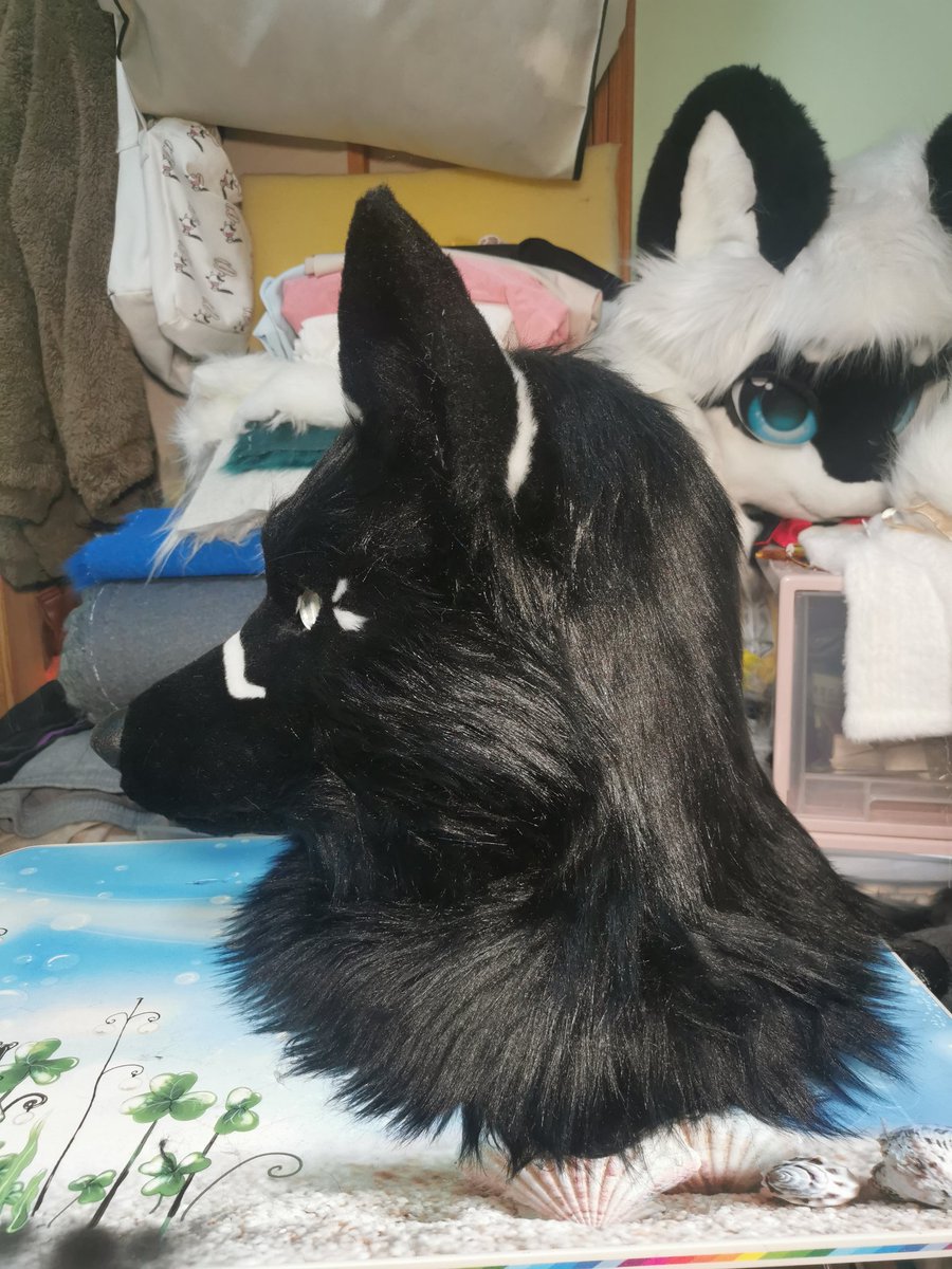 almost done！one of my first 2  overseas commision！ヾ(✿ﾟ▽ﾟ)ノ
#fursuit #fursuitmaker #fursuitmaking #fursuithead  #furry #furryartwork #furryart #furryartist #furrycommunity #furryfriend #fursuitcommision 
#realistfursuit