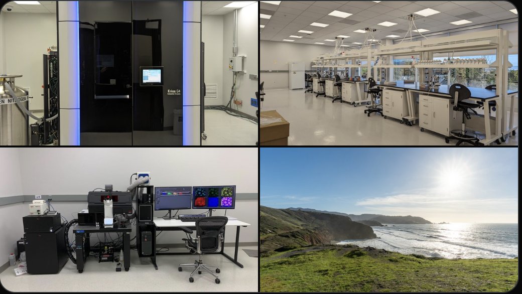 Loom19321's tweet image. Second opening in my team! Please apply if you&apos;re interested in using imaging to discover new biology! #CZImagingInstitute @cziscience @czbiohub @ChanZuckerberg 
boards.greenhouse.io/czimaginginsti…