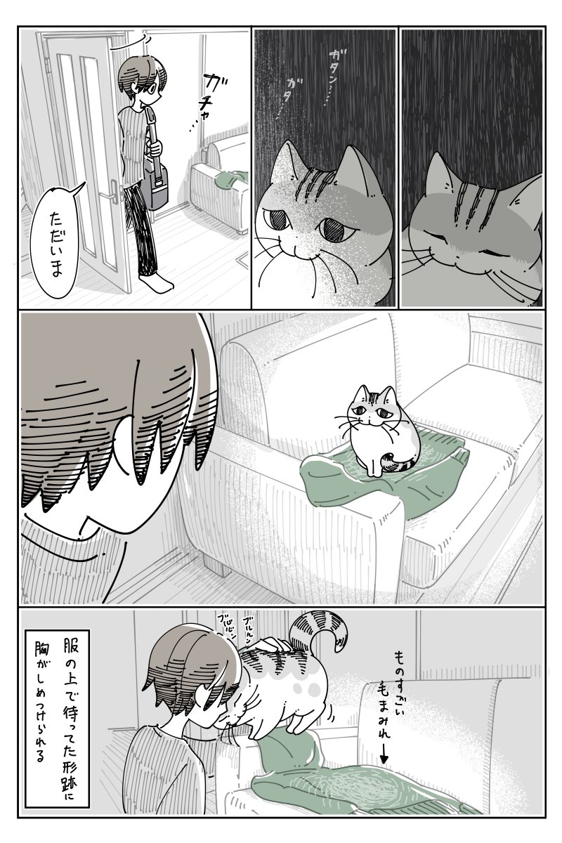 キュルZ tweet media