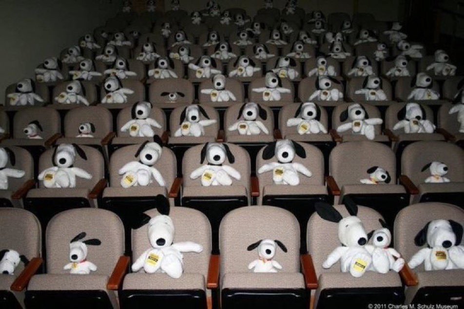 NxtWeekNow's tweet image. real pic of our live studio audience