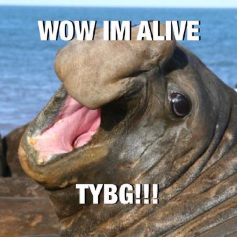 Lil B THE BASEDGOD tweet media