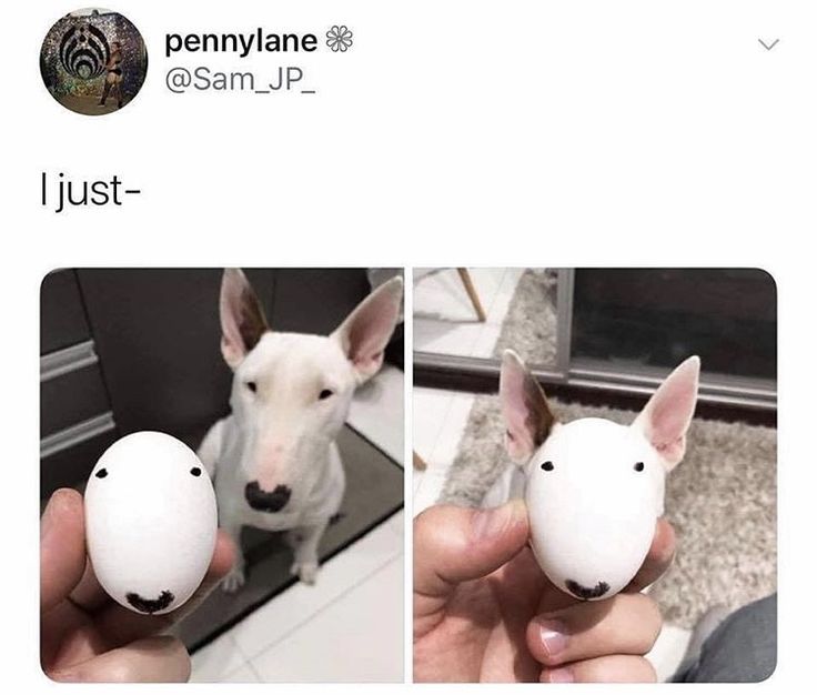 i like food (@messedupfoods) on Twitter photo 