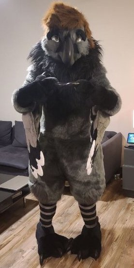 VoicemodTexas's tweet photo. Raven Birds Reaction:

WhoToTrus Fursuit: https://t.co/aYXaPuWFiC