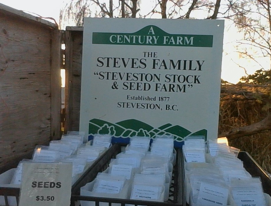 Our seeds are for sale, out at the farm gate. They are organic, highly productive, heirloom vegetable seeds adapted to our climate. Unlike other vegetable seeds that originate in the south, most have been grown on our farm for the past 100 years