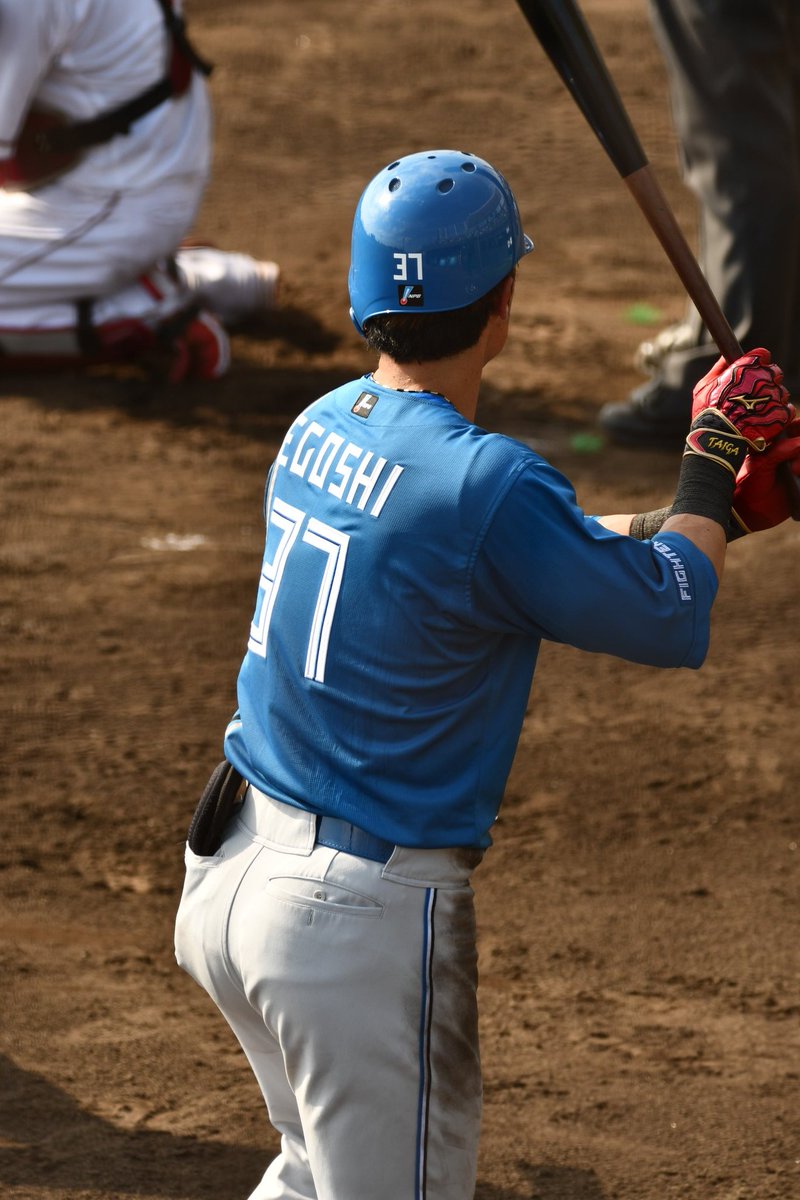hxt25's tweet photo. #ファイターズキャンプフォト
2024.2.18 #江越大賀 https://t.co/Uo0J82xe5j