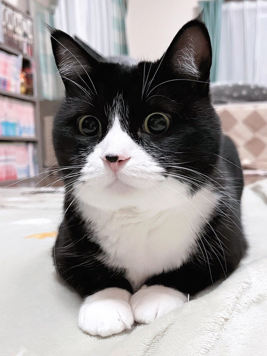 こにゃにゃちわ😻💖