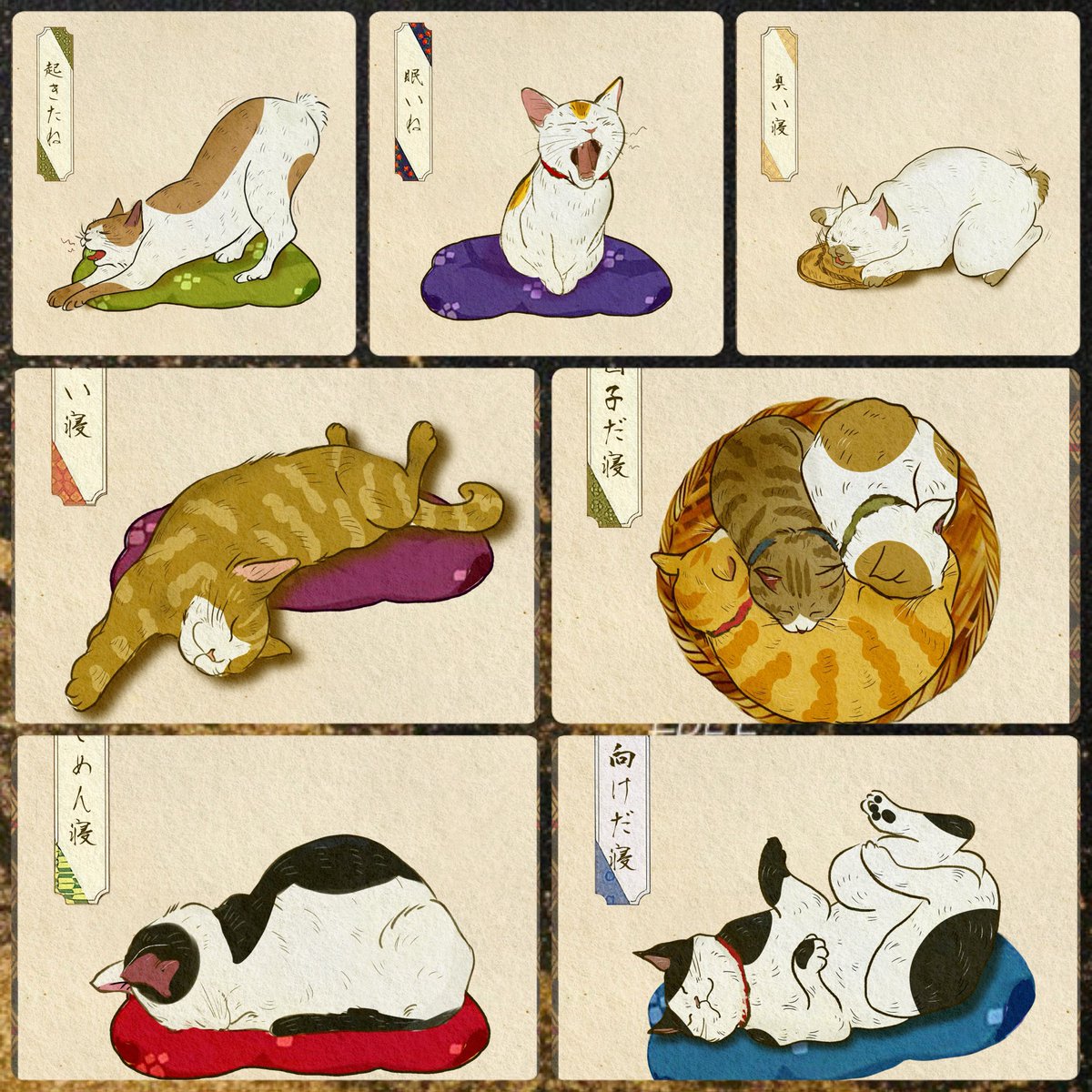 毎日が猫の日なnekoさん
起床🫣💦