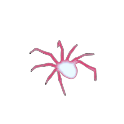 (𝔅) 𝐆𝑤͟ꦌ͟𝑛͟ 𝕾𝘁𝐚𝑐𝐲 ֶַ֪֪ (@gwend0ll_) on Twitter photo 