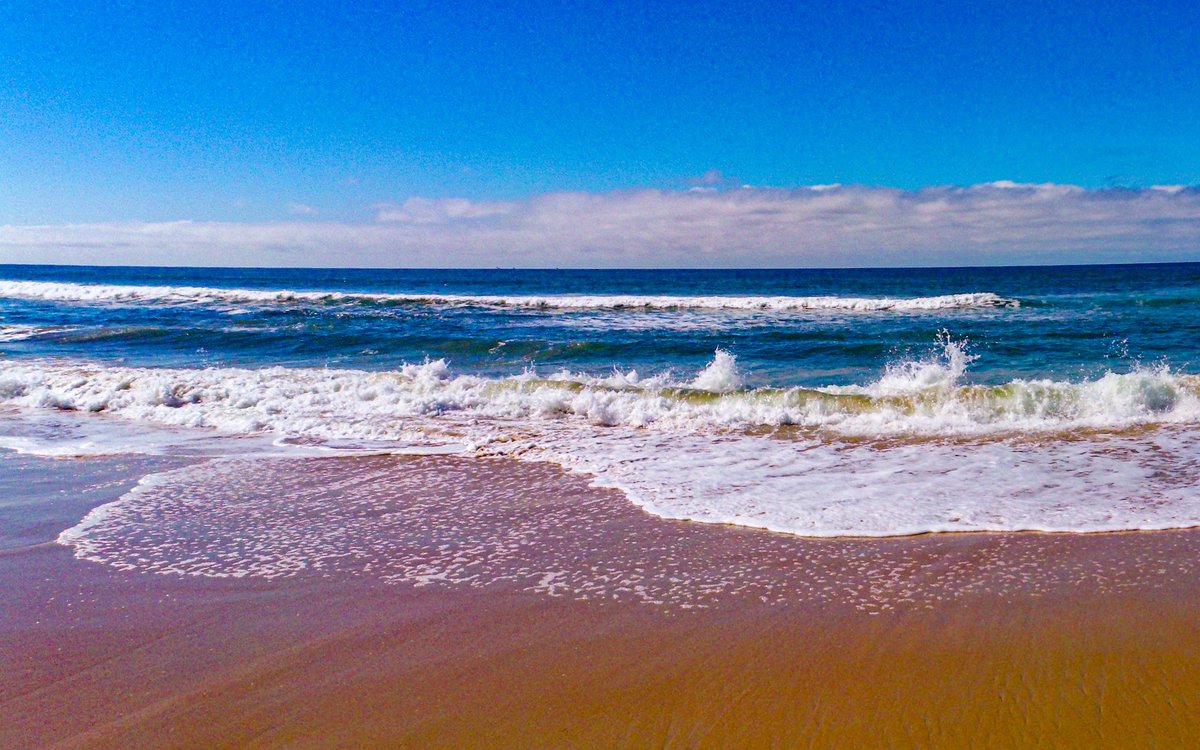 The Sand is Still Here - danastrandswimreport.com/report/the-san…