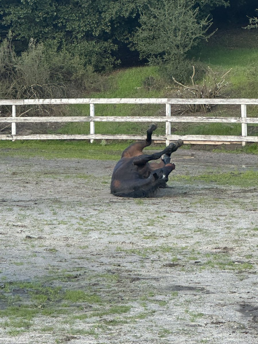 Life is short, roll a little!