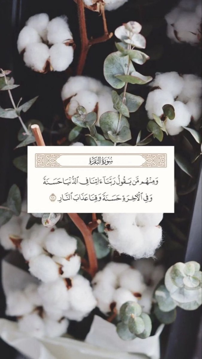 AbdullahRabiah4's tweet photo. #يوم_Iلجمعه https://t.co/s9hGaTJ2SR