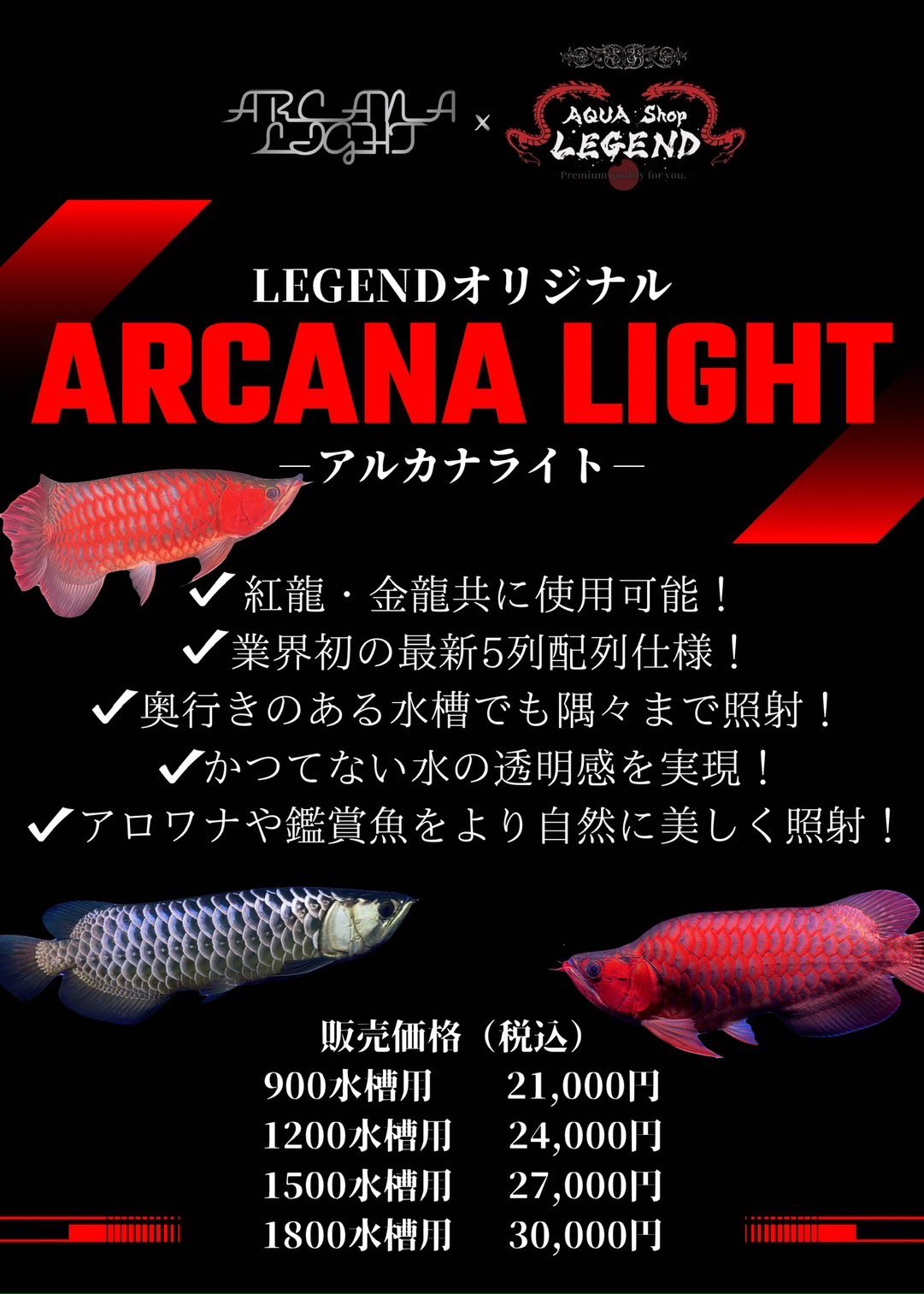 アジアアロワナ専門店ラフレシア on X: アジアアロワナ専門店ラフレシア on X: