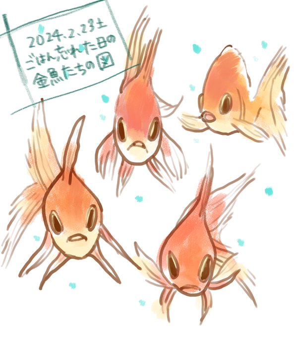 「goldfish looking at viewer」 illustration images(Latest)