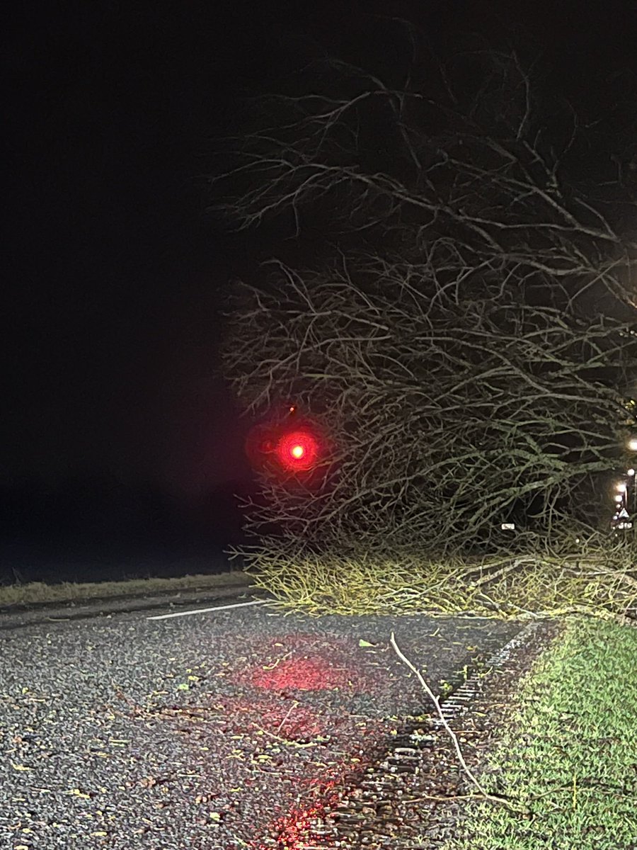 SydvestBrand's tweet photo. En betænksom borger havde monteret en cykellygte på en af de væltede træerne - godt tænkt! 💡
#sydvestbrand #stormdk #stormenrolf https://t.co/Ro97xhPYNZ