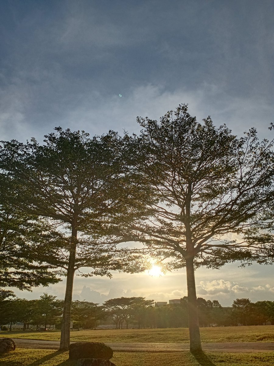 Wellness!
<a href="/yogapetz/">Yogapetz</a> 
#Well
$WELL