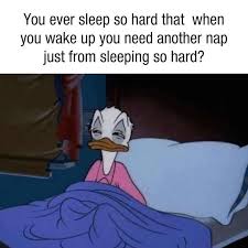 Harisgujjar97's tweet photo. @Whotfismick Me like : i am tired of sleeping now i need more sleep to rest https://t.co/q5VYvQN0wu