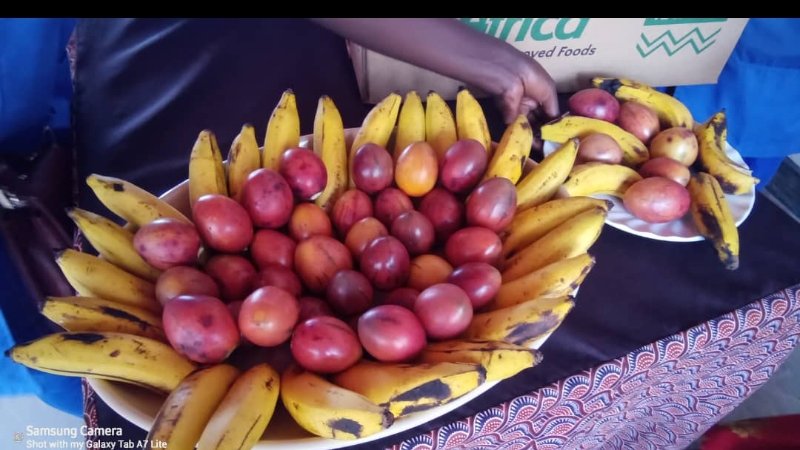 Ngomasector_Huye tweet media