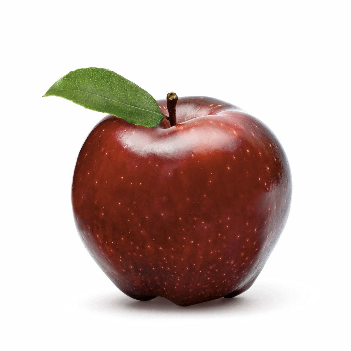 RealKhalilU's tweet photo. Which apple is better with peanut butter? https://t.co/KOCkjFWGGN