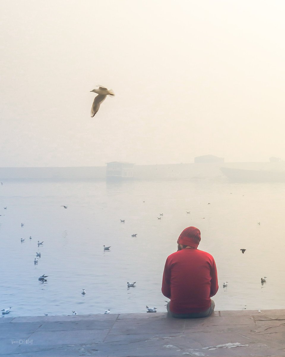 VoiceOfWolfPSC's tweet photo. Immerse yourself in the serene beauty of a winter morning by the Ganges River in Varanasi

Gear #canonm50markii 
Lens #50mm 

#varanasi #ganga #wintermorning  #mahadev  #lightroom #uttarpradesh #incredibleindia #kashivishwanath #travelphotography #nifty50  #streetphotography https://t.co/oXsZ3iuEAh