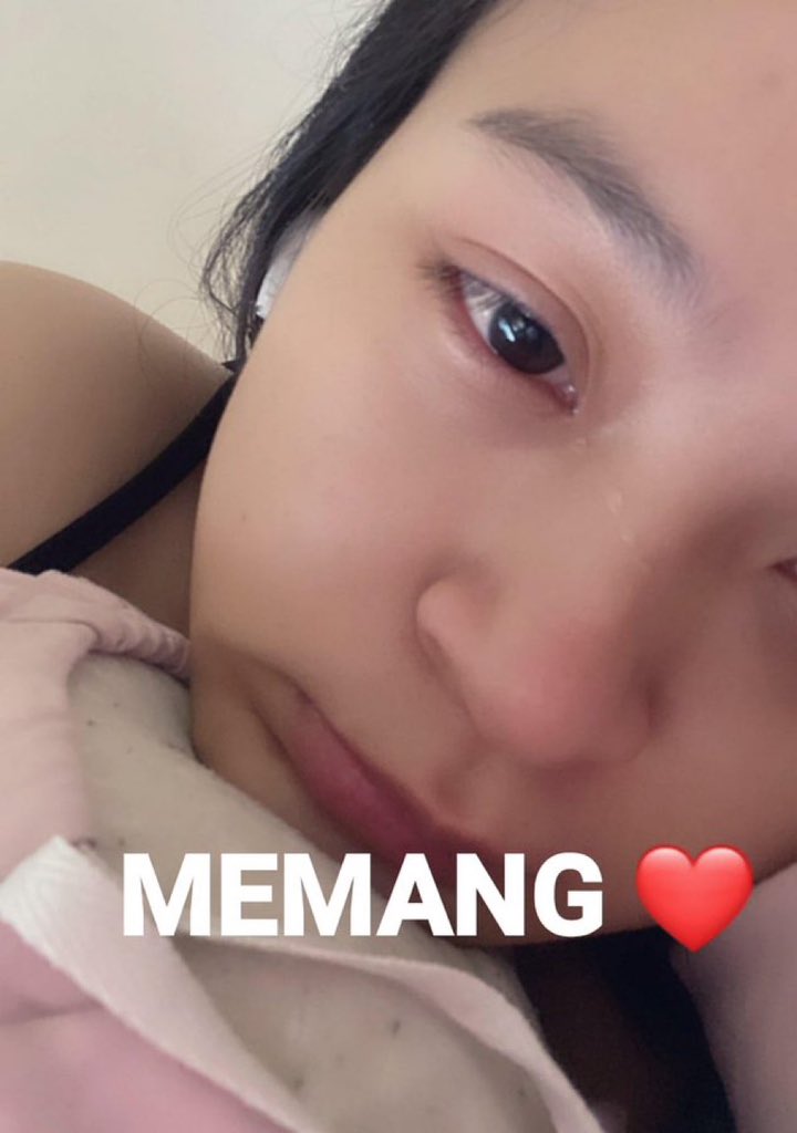 studioghoblo tweet media