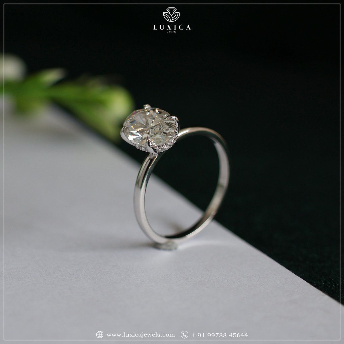 LuxicaJewels's tweet image. Oval shaped hidden halo diamond ring a symbol of timeless elegance and hidden passion.

For inquiries:
Email: luxicajewels@gmail.com
Visit. : luxicajewels.com
Call 📞 +91-9978845644 Or
☟☟ WhatsApp Below ☟☟
wa.me/919978845644

#hiddenhalo #labcreated #diamondring