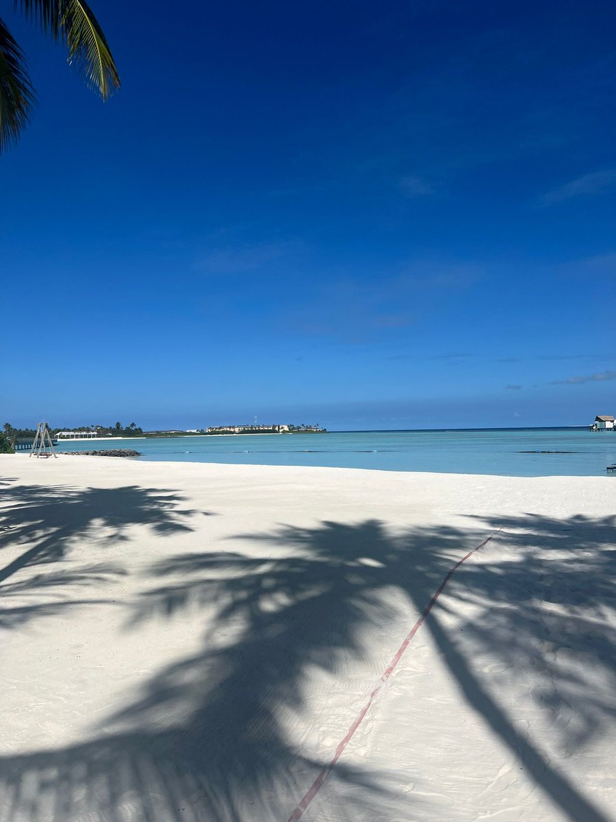 Kevin O'Leary tweet media