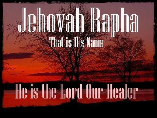 Jamie L. Cantu🇺🇸🇮🇱 tweet media