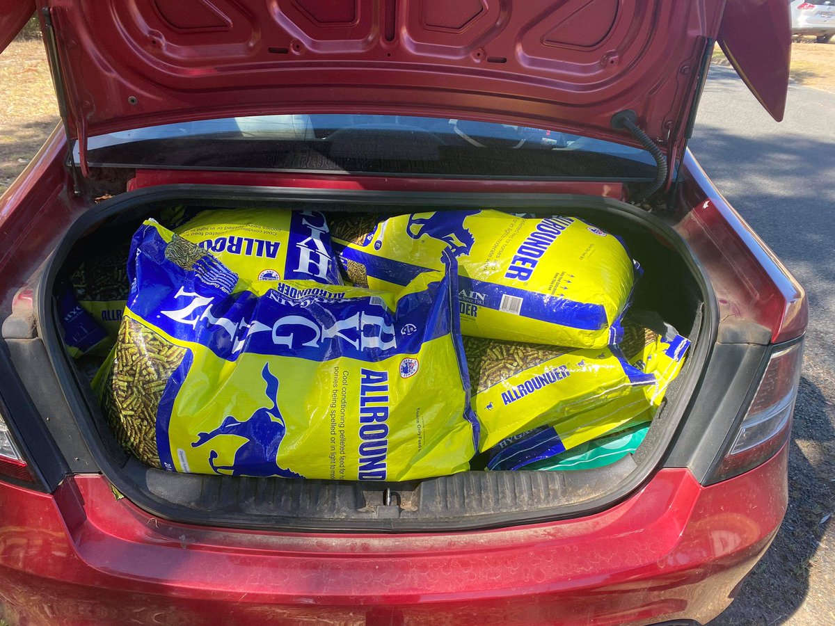 This lot of feed is heading out Pomonal way… thanks to the people at Hygain, they do so much for harness racing and are so giving in situations like this…. And thanks to the people that have donated $$ so that I can get some hay for them.. inbox me if you want to help