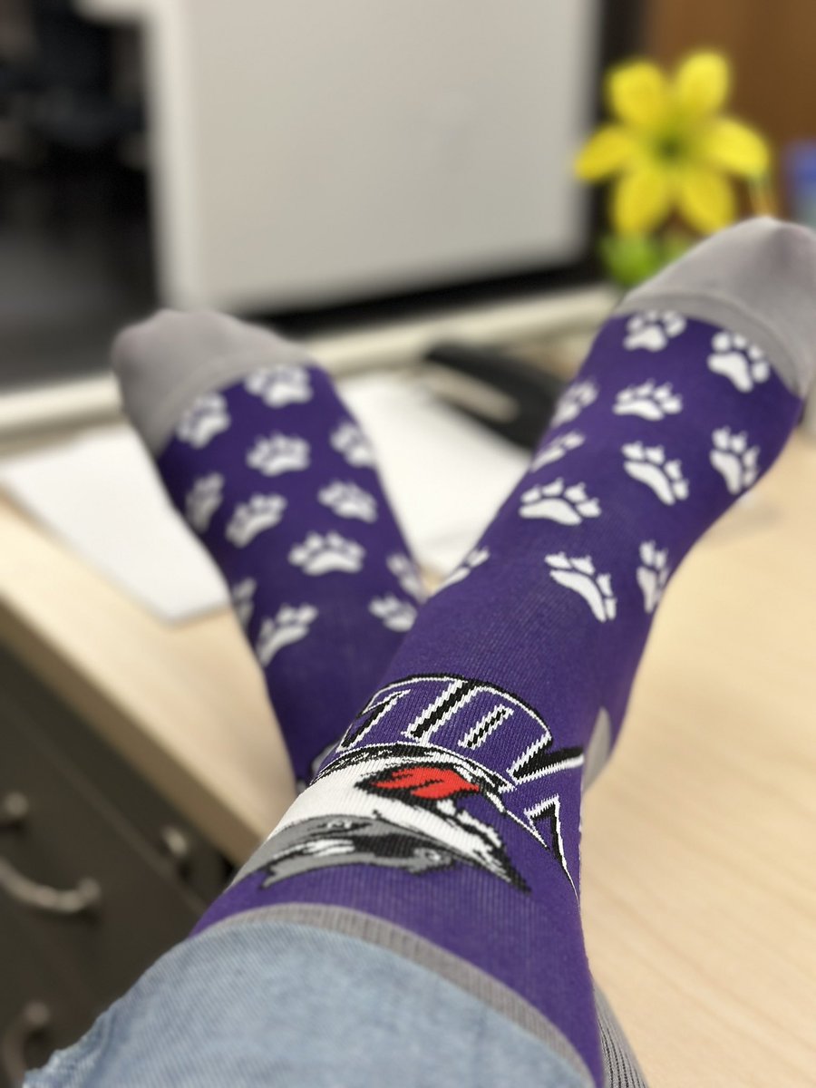 LynnAnnMcGee's tweet photo. Sporting my JJC socks today! @JolietJrCollege #JJCSocks @JJCCMAS https://t.co/9MIDejCGhM