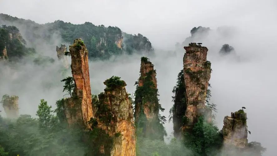 liyingsd's tweet photo. 中国最美水墨绝景——张家界西海峰林 https://t.co/0cKO8g97TK