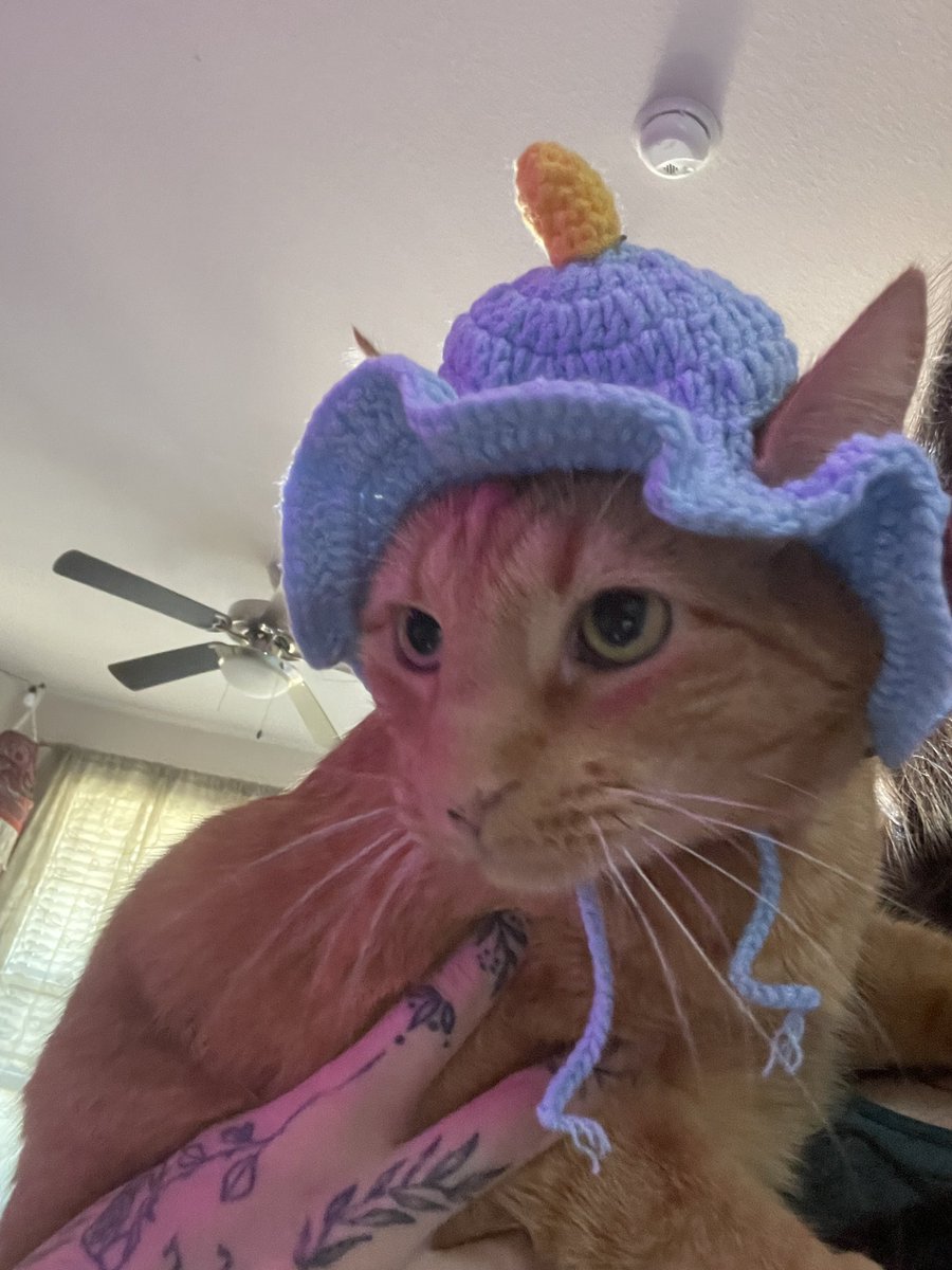 viollettskyy's tweet image. come watch me get scared on twitch twitch.tv/violetskyttv