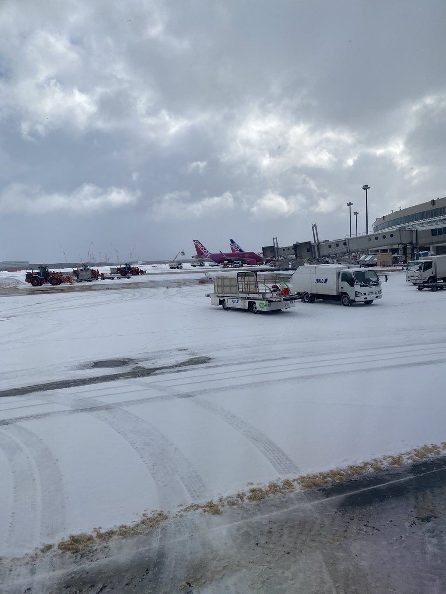 jzzz31's tweet photo. 到着🛫北海道トリップ🚙 https://t.co/cV30RttCaR