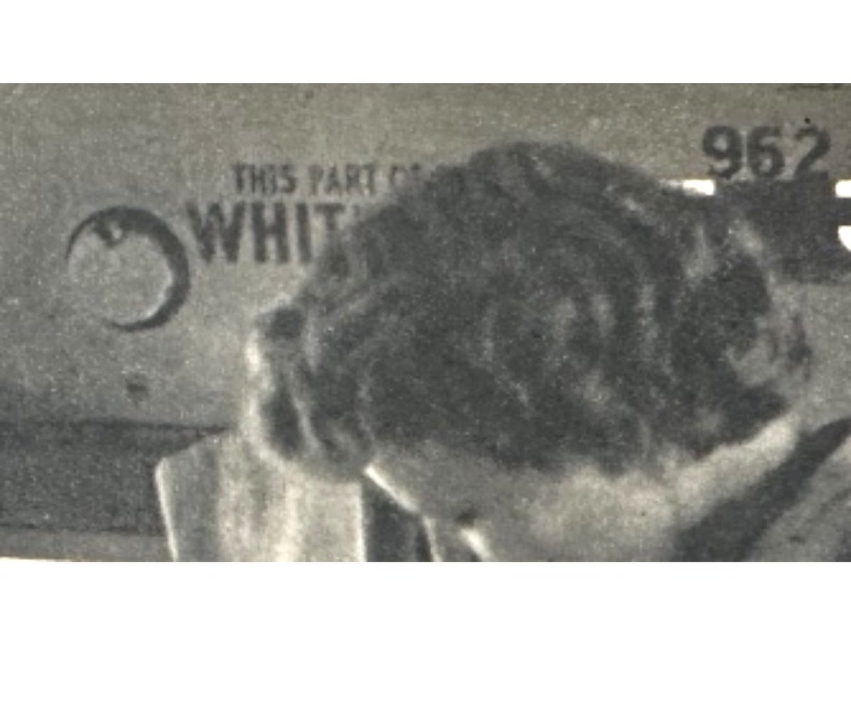 David S Ewing tweet media