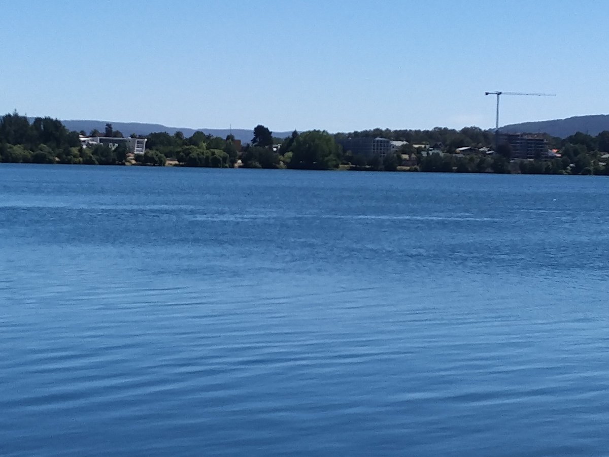 PrivanzaBroker's tweet photo. Se vende terreno a orilla de río ideal para proyecto inmobiliario. Consultas por interno. #LosRios #Valdivia #terrenosValdivia #inmobiliarias #negocios https://t.co/PbfVXWTkhf
