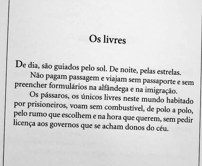 Eduardo Galeano,
O Caçador de Histórias
