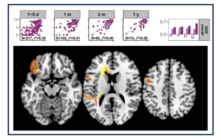 deb_f_levy's tweet image. My dissertation work with @smwilsonau -- in which we show the importance of lesion *location* in predicting recovery from aphasia after stroke -- is finally out! Please check out the paper (plus its aphasia-friendly version!) at the link below: academic.oup.com/braincomms/art…