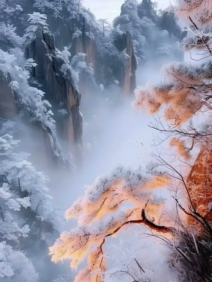 bushizhizhang1's tweet photo. 中国·黄山——
冬日黄山别样情~ https://t.co/YSrn2I7cop