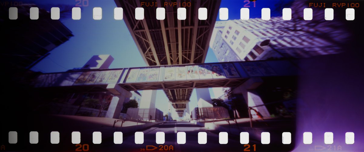 #pinholephotography #RVP #VELVIA